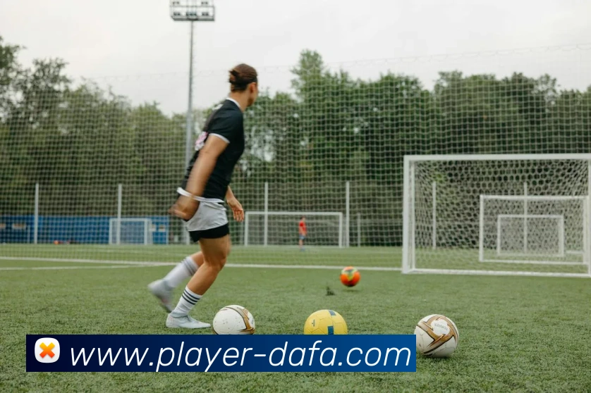 大发官网发展历程